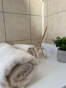 LedineLibrary suite 1的一间在柜台上备有毛巾和植物的浴室