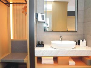 吉林丽柏酒店（吉林北山公园松花江店）的一间带水槽和镜子的浴室