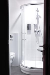 维尔纽斯BDSM Apartments的一间带卫生间的浴室内的玻璃淋浴间