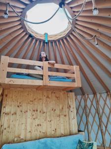 WolanyGlamping Niebiańska Osada Jurty Dolnośląskie & SPA的蒙古包内木床里的人