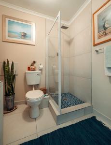 连科兰Paradise的一间带卫生间和玻璃淋浴间的浴室