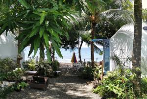 道因Glamping Dome Dauin Beach and Dive Resort的享有海滩美景的花园