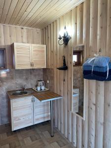 BorysxawAVALON - Котедж на озері的一个带水槽和柜台的厨房
