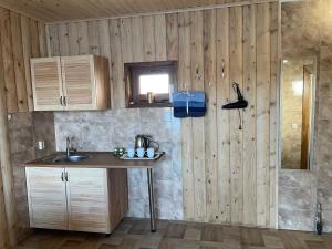 BorysxawAVALON - Котедж на озері的一个带水槽和木墙的厨房