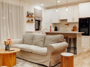 萨图马雷GIA Apartment的带沙发的客厅和厨房