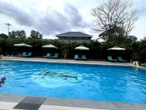 库斯哈尔纳加尔TVR Resort and Spa的一个带椅子和遮阳伞的大型蓝色游泳池
