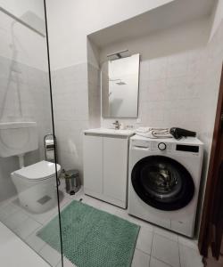 圣马力诺La Famosa Dimora Ambasciatore的一间带洗衣机和卫生间的浴室