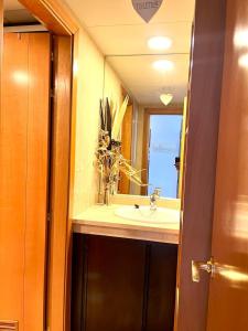 圣克鲁斯-德特内里费LA TORRE I的一间带水槽和镜子的浴室