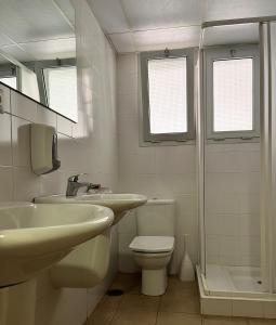 萨拉戈萨Albergue Zaragoza Camping的一间带水槽、卫生间和淋浴的浴室