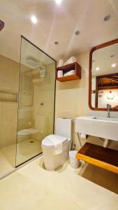 莫罗圣保罗Chalé Del Mar的浴室配有卫生间、盥洗盆和淋浴。