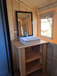 阿洛拉Glamping Vive Tus Suenos -Equilibrio- Caminito del Rey的一间带水槽和镜子的浴室