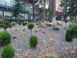 百乐费利克斯Hotel Padis的一座花园,位于一座树木和岩石的建筑前