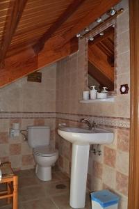 CoañaApartamentos Rurales Casa Ron的一间带水槽、卫生间和镜子的浴室