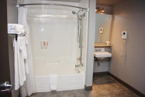阿尔马Travelodge by Wyndham Alma的带淋浴和盥洗盆的浴室
