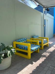 温特和克Nambani House的三个黄色长椅,坐在墙上