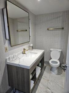 Ville Saint LaurentRadisson Hotel Montreal Airport的一间带水槽、卫生间和镜子的浴室