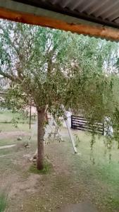 坦季El Rincon de Jose Luis - Cabañas y Restaurante的围栏旁院子中的一棵树