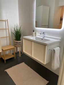 安特卫普Stunning apartment by MAS的浴室设有白色水槽和镜子