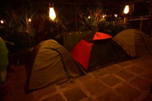 丹德利Dandeli Resorts Booking的两个帐篷位于一个房间地板上
