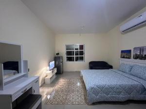 阿布扎比Furnished Studio Apartment的一间卧室配有一张床和一台电视