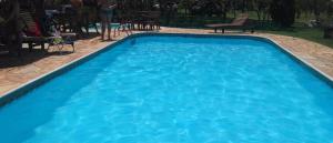 Rio NovoHOTEL FAZENDA CANARIO DA TERRA的庭院里的一个蓝色海水游泳池