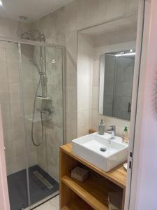拉尔莫普拉格Cosy's Terrasse的浴室配有盥洗盆和带镜子的淋浴