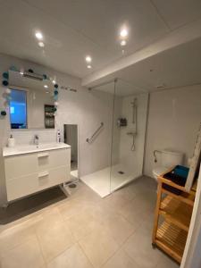 科斯塔特吉塞Large Studio Apartment!的带淋浴、盥洗盆和卫生间的浴室