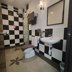 乔治市Carnarvon Heritge Lodge的一间带卫生间和水槽的浴室