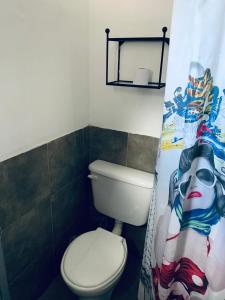 圣路易斯Hostel Casa Blanca的一间带卫生间和淋浴帘的浴室