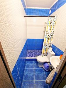 阿拉木图Двухместные апартаменты со всеми удобствами的蓝色瓷砖浴室设有卫生间和淋浴。