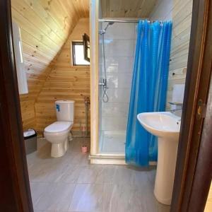 KurmentyKolsay Village的浴室配有卫生间、淋浴和盥洗盆。