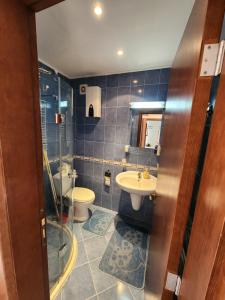 班斯科One Bedroom Apartment Pirin Lodge的一间带卫生间和水槽的浴室