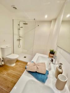 坎布里尔斯Femina Blue的浴室配有白色水槽和卫生间。
