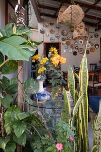 萨利纳斯Hostel Casa Betancourt的一间设有花瓶和植物桌子的房间