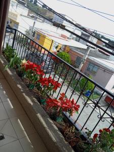 Villa NuevaHabitación cómoda的阳台,种着一束红色的鲜花