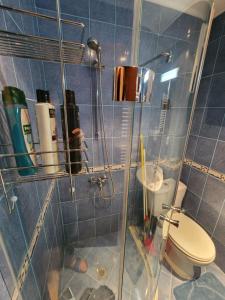 班斯科One Bedroom Apartment Pirin Lodge的带淋浴、卫生间和盥洗盆的浴室