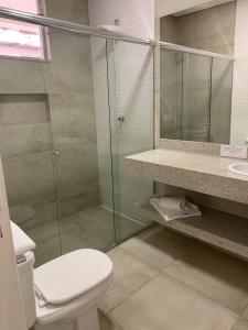 Três PontasHotel Ouro Verde的一间带卫生间和玻璃淋浴间的浴室