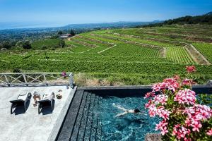 米罗Wine Resort Villagrande的相册照片