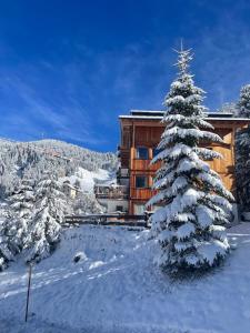 科瓦拉因巴迪亚Luxury Chalet Liosa - Ski in Ski out - Amazing view的建筑物前的雪覆盖的圣诞树
