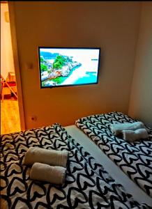 彼得罗瓦拉丁Petrovaradin 11的卧室配有壁挂式平面电视。
