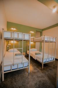 科伦坡Drop Inn Hostels的配有两张双层床的客房