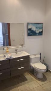 罗阿坦Las Palmas Joliet的一间带卫生间、水槽和镜子的浴室