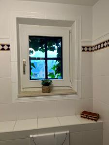 斯塔沃洛Gîte La Petite Francorchamps Ardennaise的浴室里的一个窗户,有盆栽植物