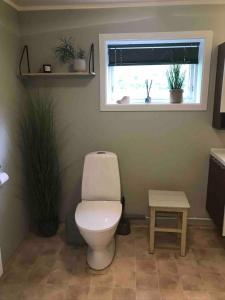 莱克内斯Haukland Beach House的一间带卫生间的浴室和一个带植物的窗户