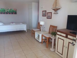 卡拉瓦杜斯Paloma的一间客房配有一张床、一台电视和椅子