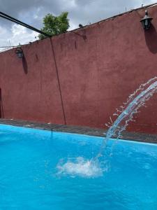 伊瓜苏港Residencial Arcoiris的海豚在游泳池里