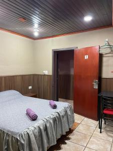 伊瓜苏港Residencial Arcoiris的一间卧室配有一张带紫色枕头的床