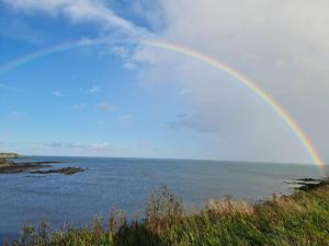 RushLuxury 300yr old Irish thatch cottage close to sea的水面上空的彩虹