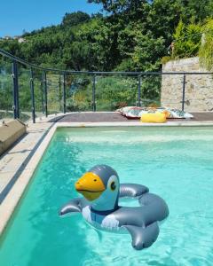 蓬德利马Casinha do Orjal的浮在游泳池里的橡皮鸭