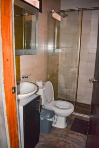 比利亚维哈Hotel Shaddai的浴室配有卫生间、盥洗盆和淋浴。